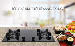 Bếp gas âm